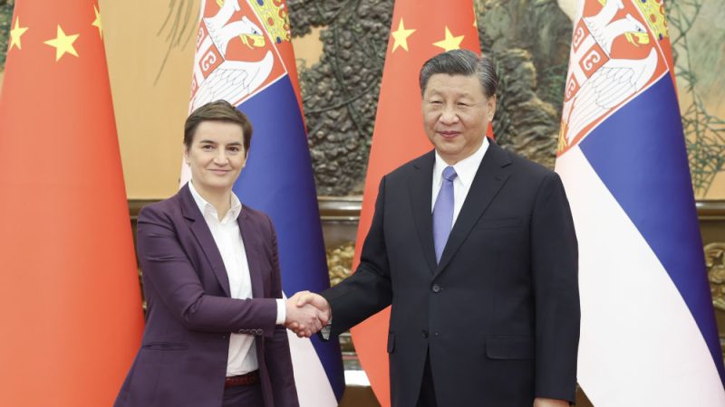 Xi Jinping reúne-se com primeira-ministra da Sérvia em Beijing