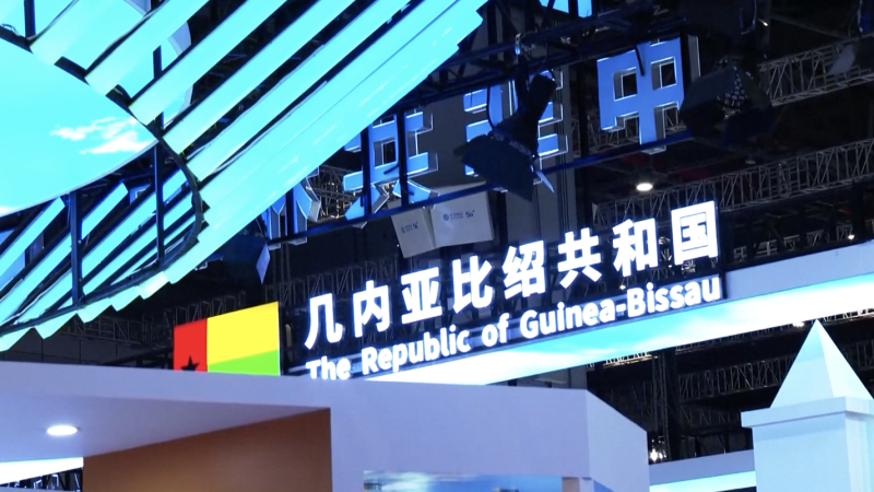 Guiné-Bissau estreia na exposição nacional da CIIE