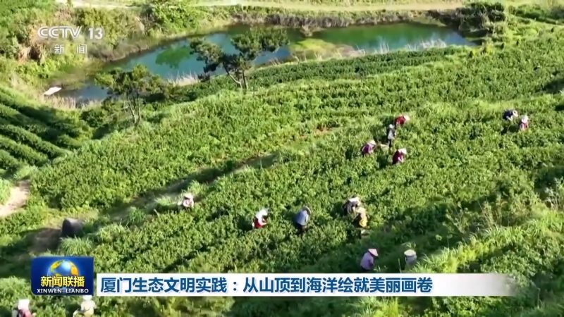 Xiamen, cidade ecológica na China