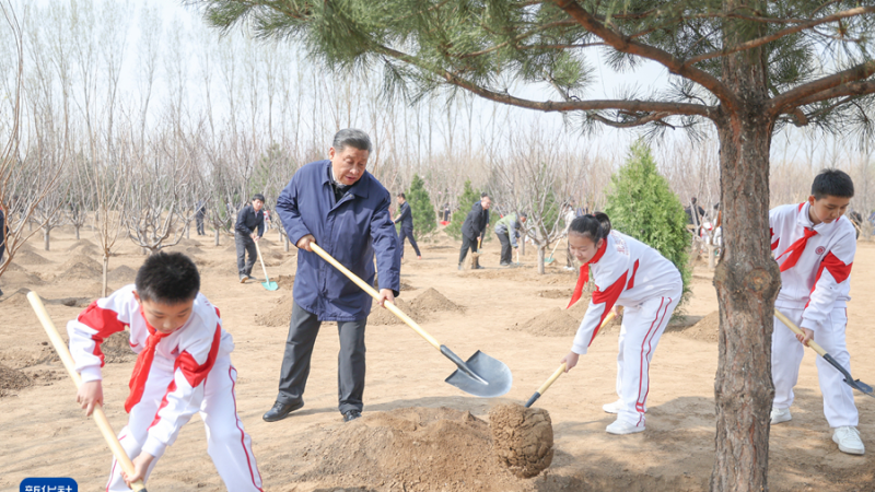 Xi Jinping planta árvores em Beijing e pede esforços de arborização em todo o país para uma Bela China