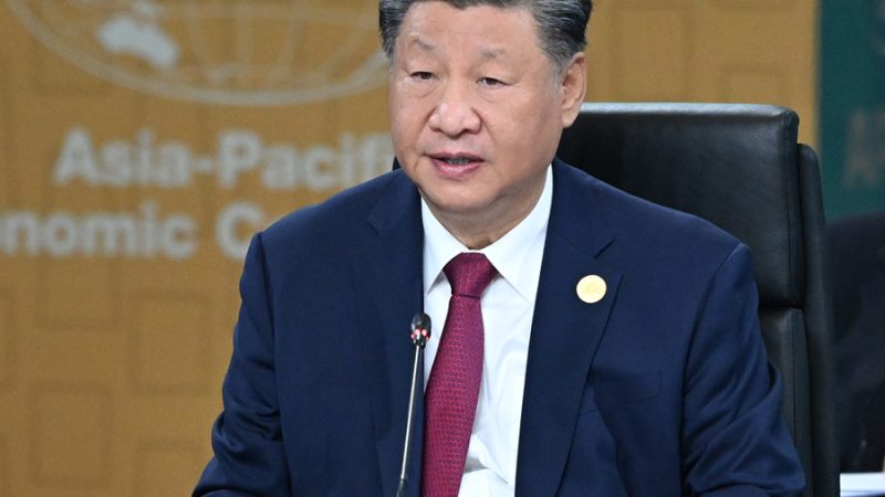 Xi Jinping profere discurso na 31ª Reunião de Líderes Econômicos da APEC