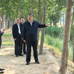 Xi Jinping pede medidas sólidas para modernizar agricultura e áreas rurais