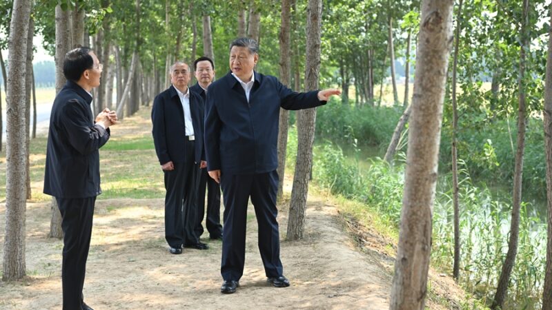 Xi Jinping pede medidas sólidas para modernizar agricultura e áreas rurais
