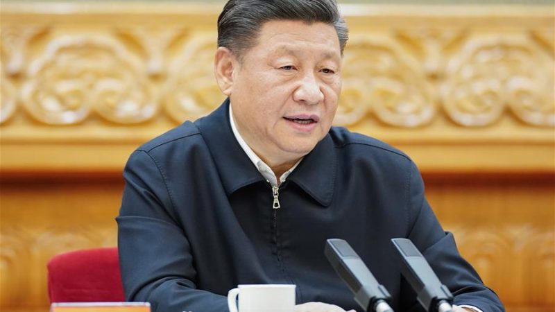 Xi salienta cultivo de mais quadros de alto calibre para Xinjiang