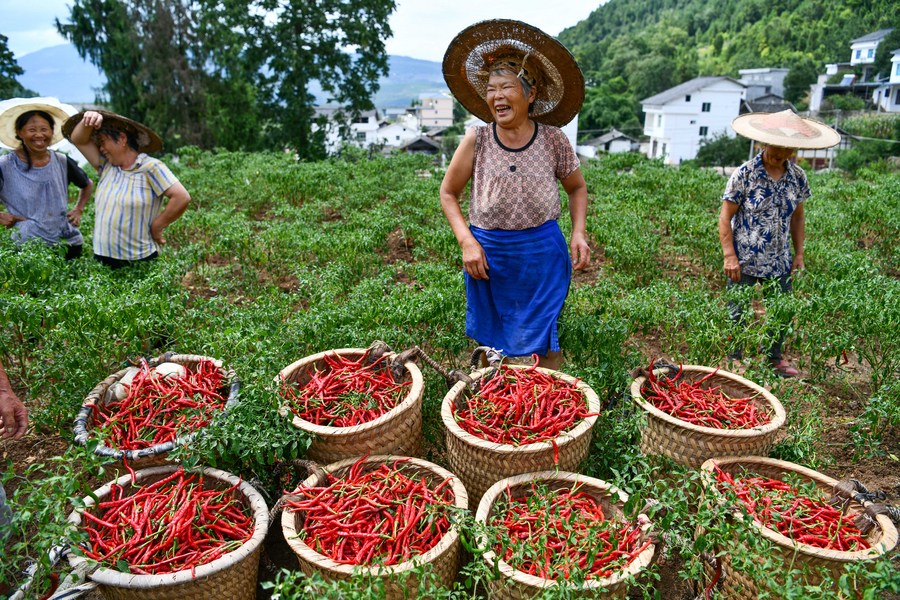 Áreas pobres na China têm crescimento econômico sustentável e rápido, diz livro branco