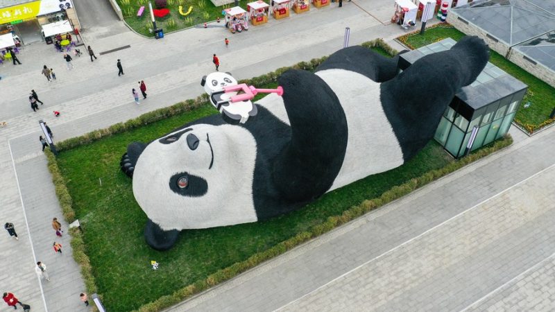 Estátua de panda tirando selfie encanta público no sudoeste da China