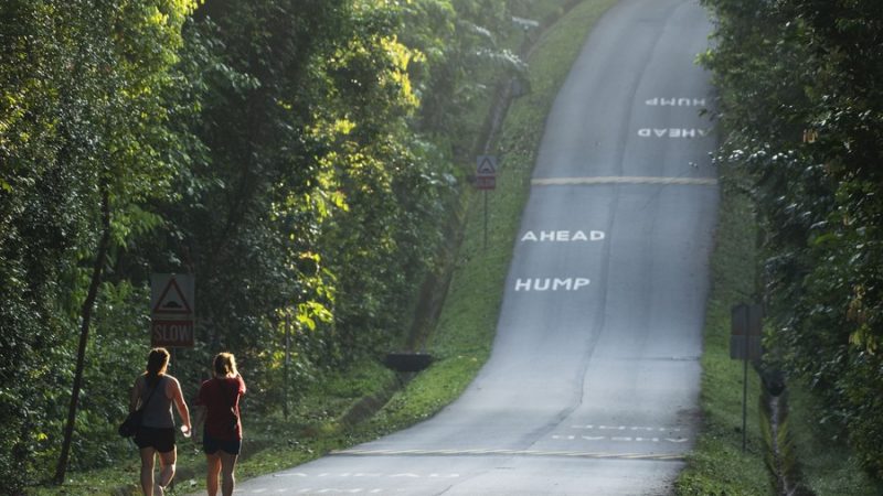 (Multimídia) Xi apresenta proposta de seis pontos sobre construção de comunidade de vida para humanidade e natureza