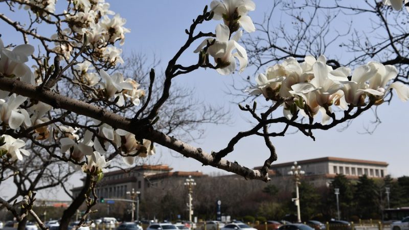 Beijing relata recorde de boa qualidade do ar em julho