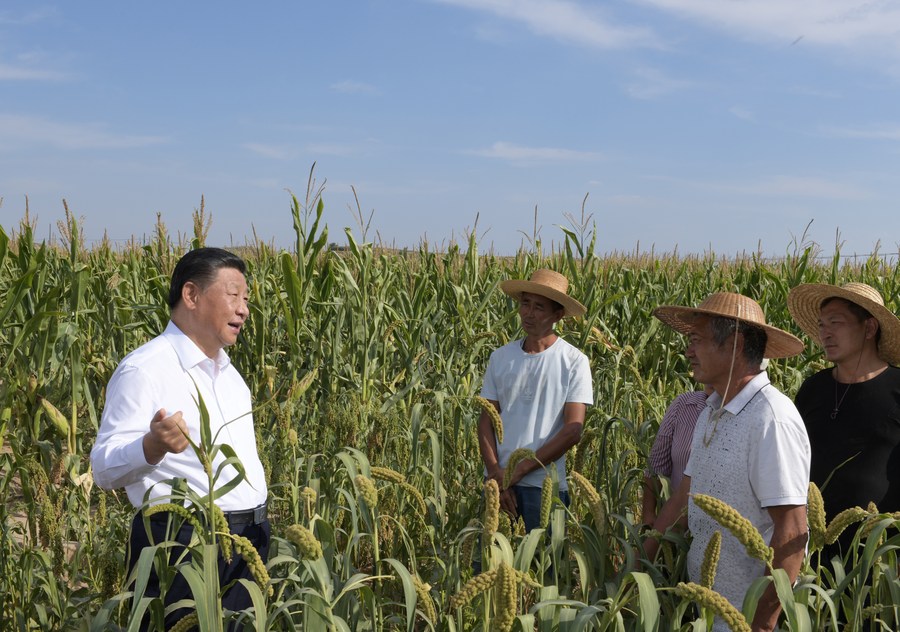 Xi expressa saudações antes do festival de safra dos agricultores chineses