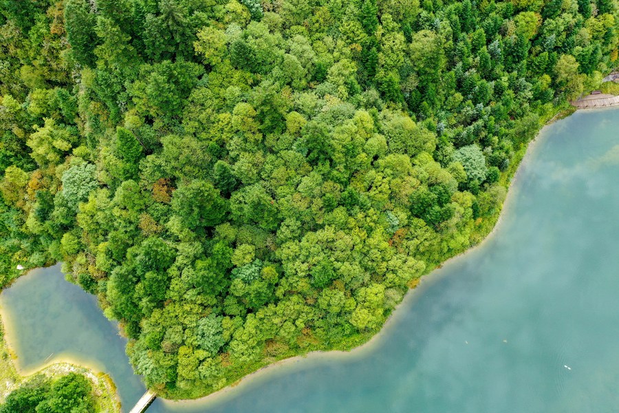 China é o maior contribuidor do crescimento da área verde do mundo de 2000 a 2017, diz livro branco