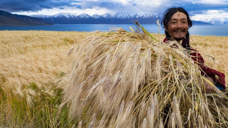 PIB do Tibet aumenta 7,2% nos primeiros três trimestres do ano