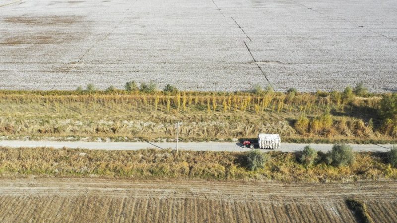 Mentiras não podem abalar estabilidade de Xinjiang, diz porta-vozes