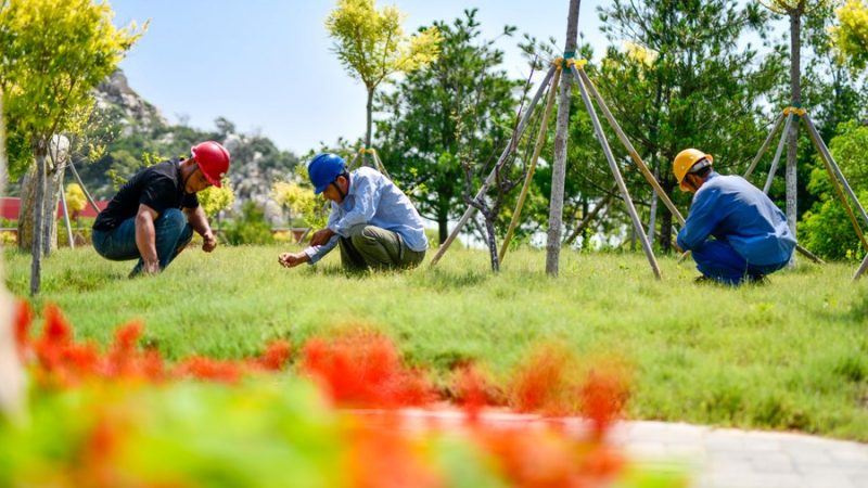 Começa o 3º censo nacional do solo da China