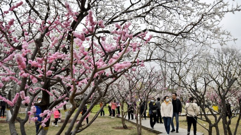 Parques de Beijing têm aumento de visitantes durante feriado