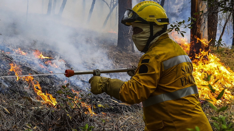 Portugal permanecerá em “situação de alerta” para incêndios florestais