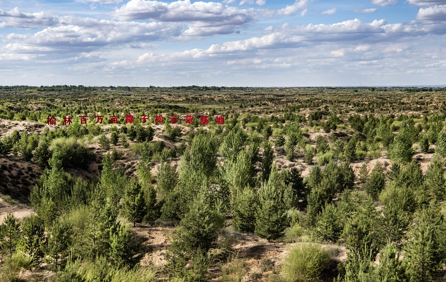 Área de erosão da água e solo da China continua a diminuir em 2021