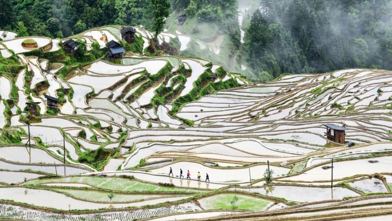 China sediará conferência sobre sistemas de patrimônio agrícola globalmente importantes