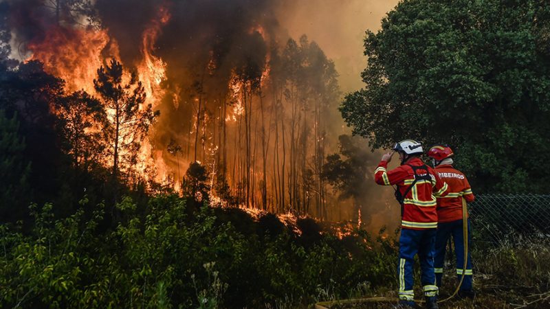 Especialistas portugueses culpam mudanças climáticas e má gestão por danos causados por incêndios florestais