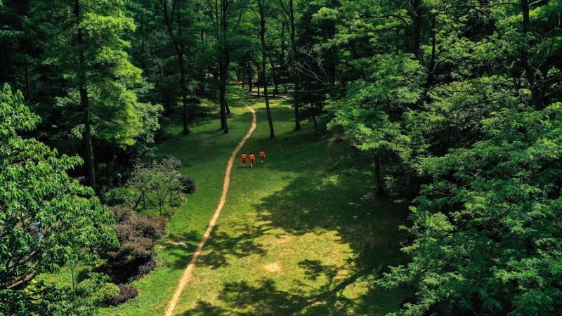 Conquistas notáveis são feitas na conservação da natureza na última década