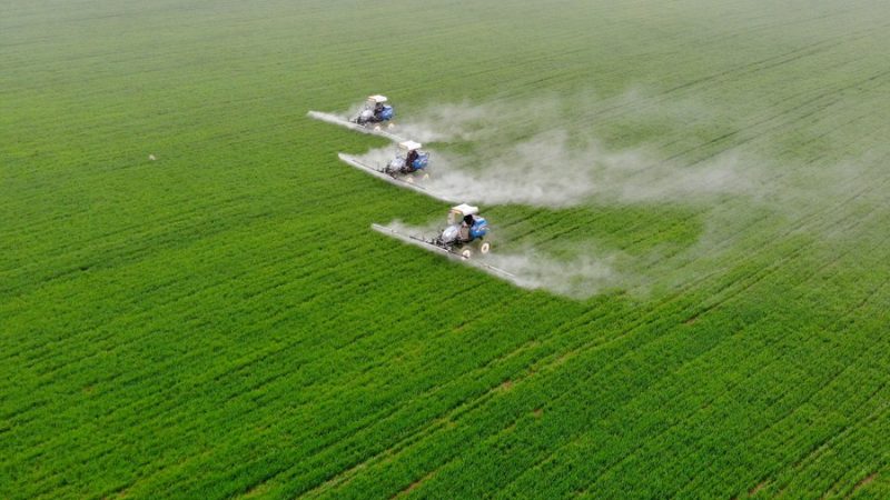 Estudo chinês sobre biossíntese de quitina lança luz sobre desenvolvimento de pesticidas ecológicos