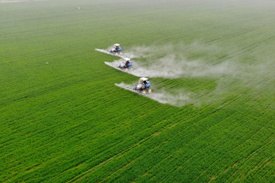 Estudo chinês sobre biossíntese de quitina lança luz sobre desenvolvimento de pesticidas ecológicos