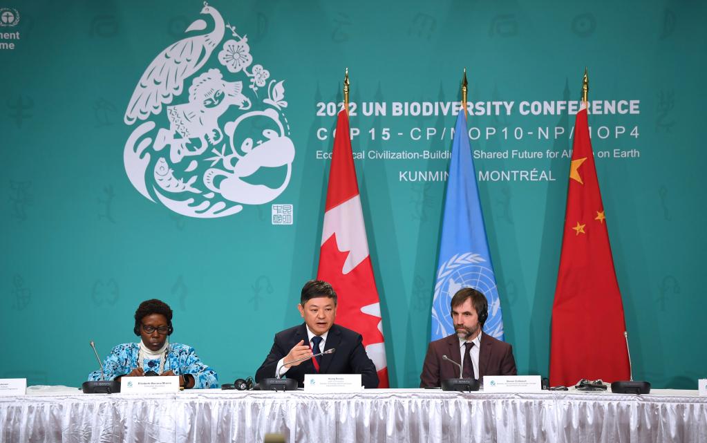 Presidente da COP15 está otimista sobre o progresso na conferência de biodiversidade da ONU