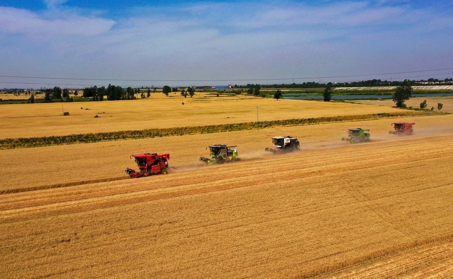 Agricultura e indústrias relacionadas representam 16,05% do PIB da China