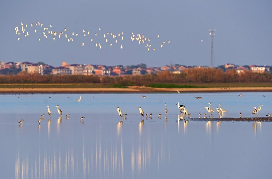 O maior lago de água doce da China vê aumento no nível de água