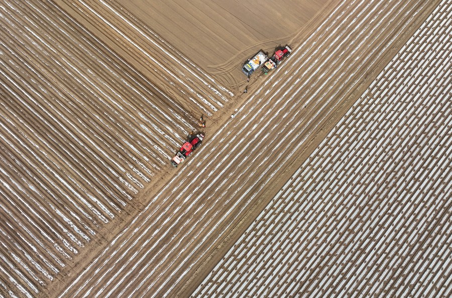 China tem temperaturas mais altas e menos chuvas do que o habitual em março