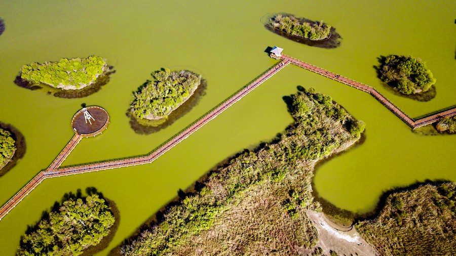 China estuda criação do Dia Nacional da Ecologia