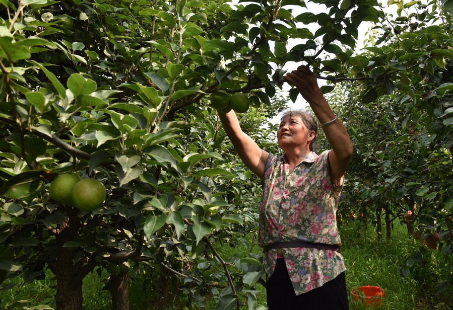 China ativa resposta de emergência de nível III para grandes desastres agrícolas