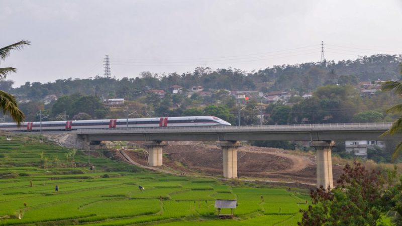 Líderes e funcionários mundiais têm maiores expectativas para cooperação de alta qualidade do Cinturão e Rota