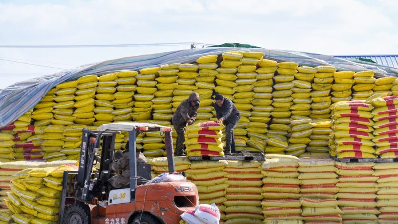 Exportações chinesas de fertilizantes aumentam 31,6% no período de janeiro a setembro