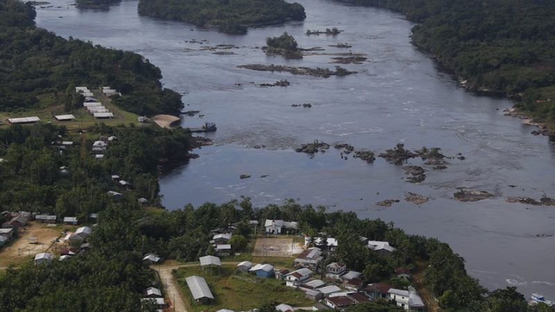 Inseto em extinção de 1mm é encontrado em caverna na Amazônia