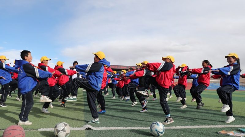 Xizang estabelece sistema educacional escolar de 15 anos financiado pelo governo, diz funcionário