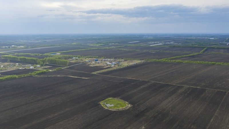 Pesquisadores chineses publicam mapa de carbono orgânico para regiões globais de solo preto