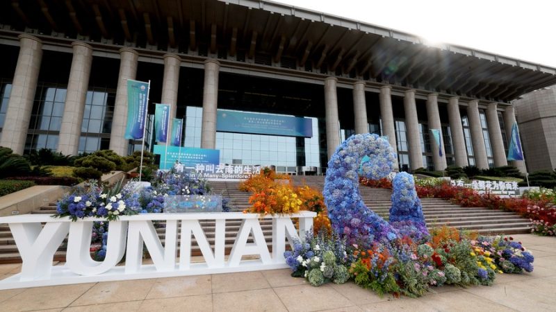 5ª Cúpula Mundial de Mídia adota Iniciativa de Kunming