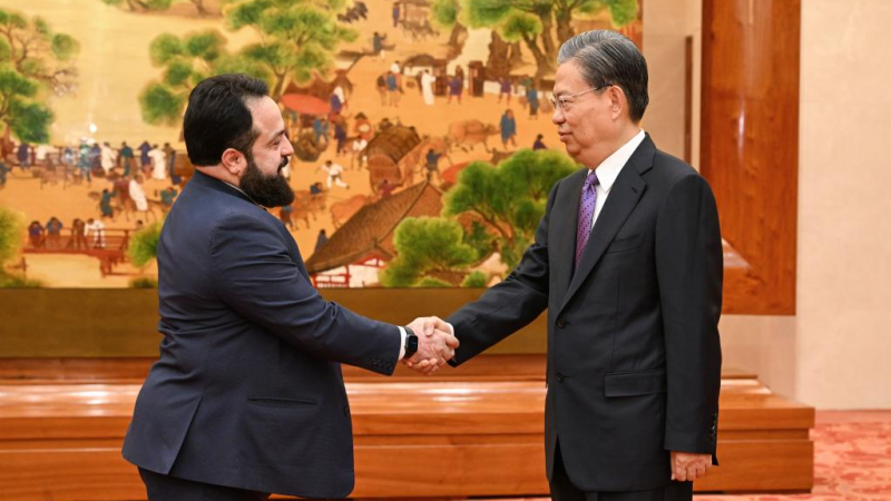 Chefe do Legislativo chinês conversa com presidente do Congresso Nacional hondurenho