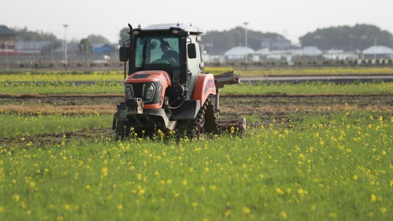 Banco de Desenvolvimento da China duplica apoio de empréstimos para trabalho em terras agrícolas