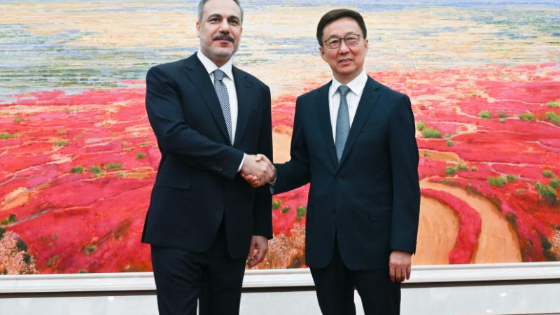 Vice-presidente chinês reúne-se com chanceler da Turquia