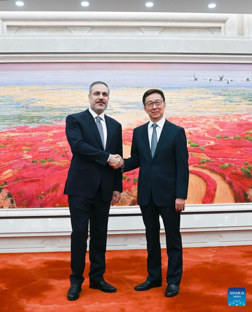 Vice-presidente chinês reúne-se com chanceler da Turquia