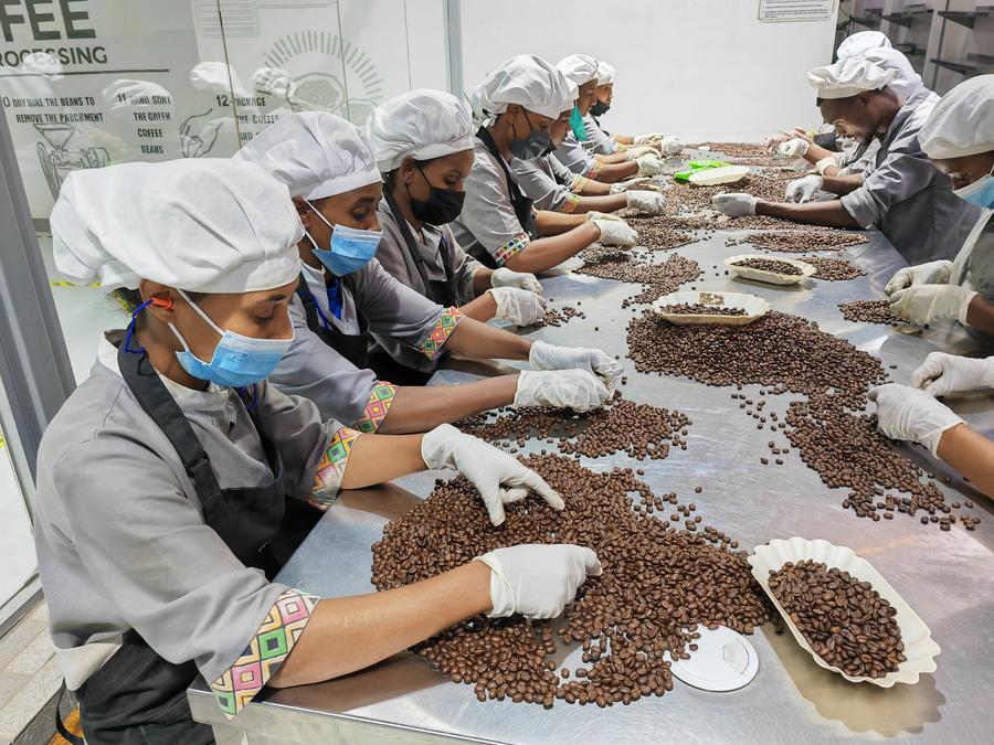 Etiópia busca agregar valor para aproveitar potencial do café em meio à crescente demanda da China