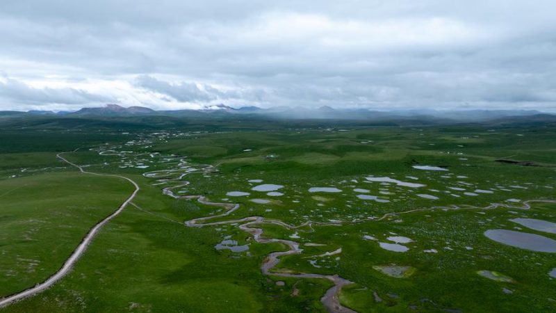 Regulamentos provinciais na China impulsionam a proteção ecológica do planalto Qinghai-Xizang