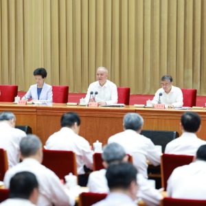 Alto funcionário pede promoção dos princípios orientadores do plenário do PCCh