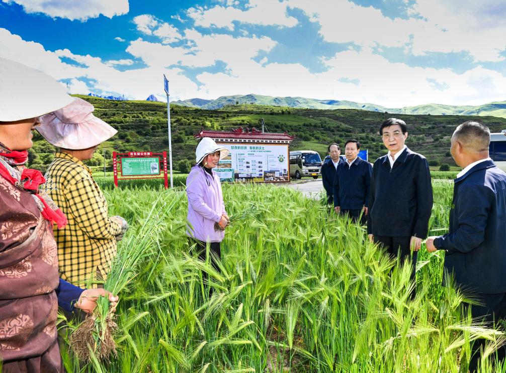 Mais alto conselheiro político da China destaca harmonia religiosa e étnica