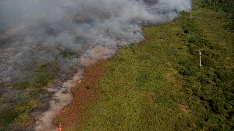 Pesquisadores chineses quantificam as emissões globais de carbono pela queima de biomassa