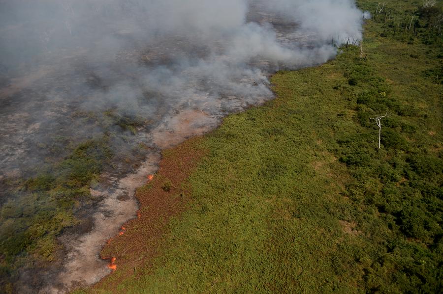 Pesquisadores chineses quantificam as emissões globais de carbono pela queima de biomassa