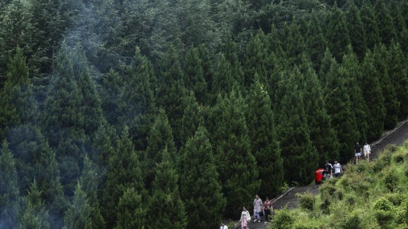 China emite diretrizes para acelerar transição verde no desenvolvimento econômico e social