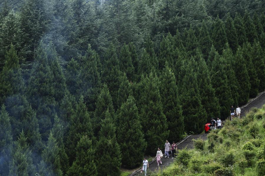 China emite diretrizes para acelerar transição verde no desenvolvimento econômico e social