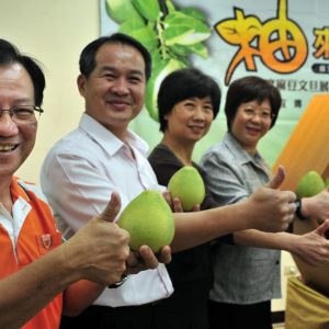 Parte continental retoma importação de pomelo Wendan de Taiwan